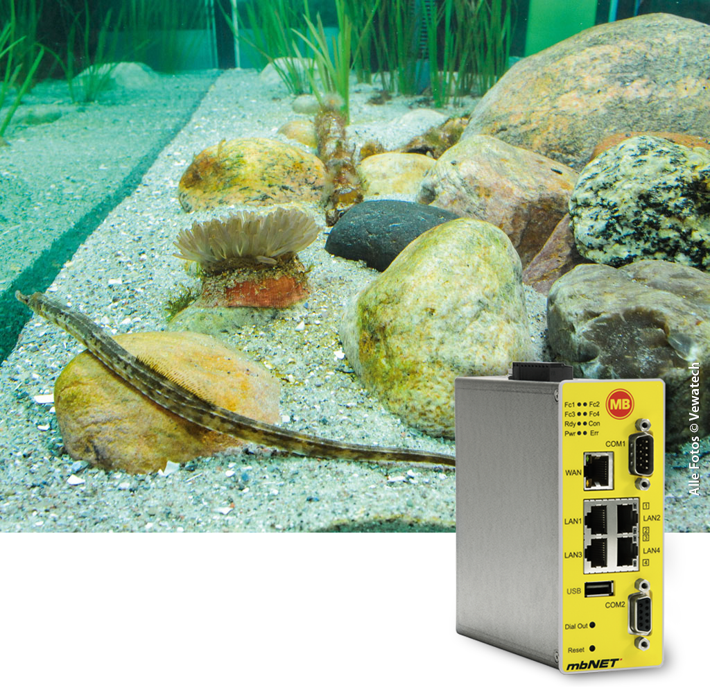 Remote maintenance ensures operational safety of large aquariums