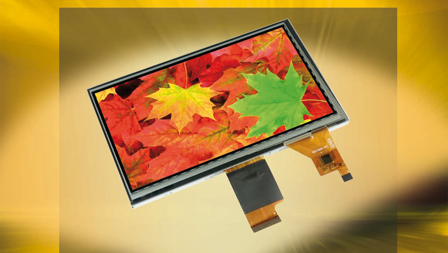 Crisp IPS displays in all sizes